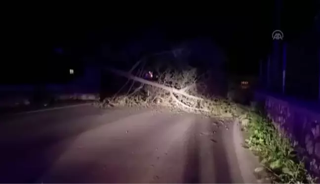 Etkili olan fırtına hayatı olumsuz etkiledi