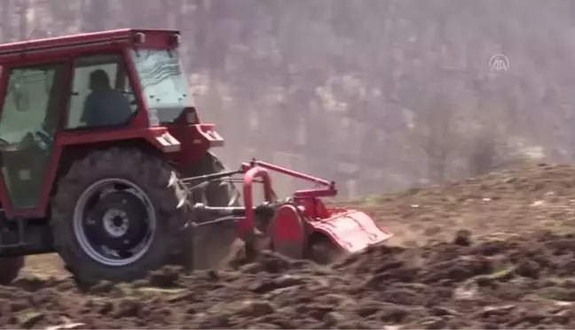 300 dönümlük atıl arazi yeniden tarıma kazandırıldı