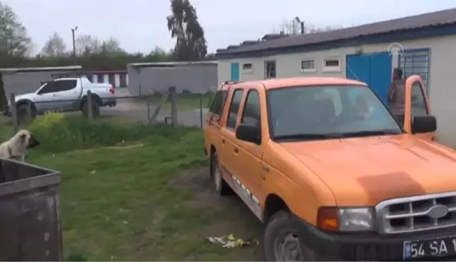 Eve giren ayı yavrusu koruma altına alındı