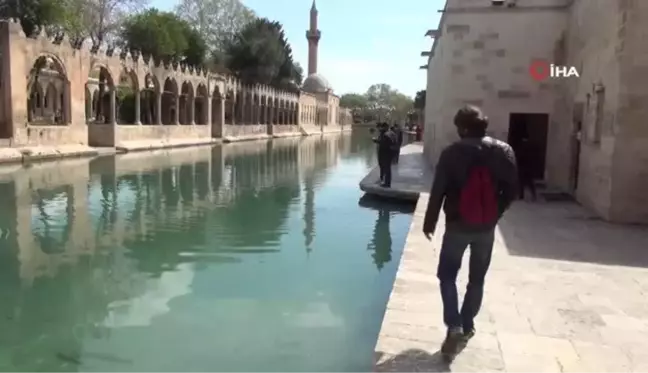 İngiliz turist, Urfa ciğeri yemek için 5 bin kilometre yol geldi