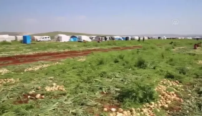 Mevsimlik tarım işçilerinin ramazanda zorlu ekmek mücadelesi