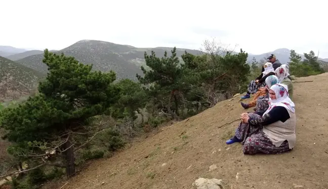 Son dakika haber! Yaylada kaybolan çocuktan haber alınamıyor