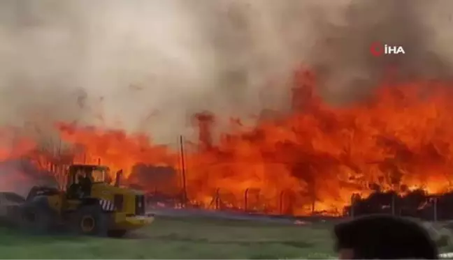 Biyokütle yakıtlı enerji santralindeki yangın 80 bin metrekarelik alanda sürüyor