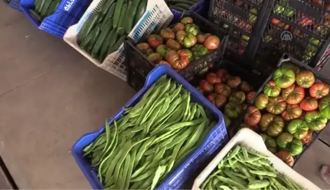 Alanya Ziraat Odası Başkanı Göktepe'den 