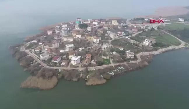 BURSA 'YAREN' LEYLEĞİN YAVRULARI DÜNYAYA GELDİ