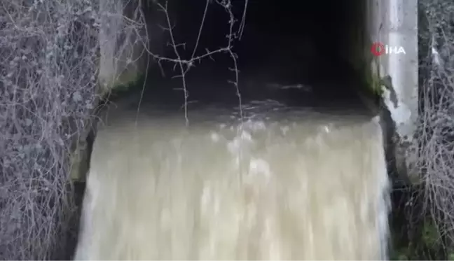 Atıksu tesisindeki sular arıtılmadan akıtıldı, Riva Deresi'nde su kirliliği oluştu