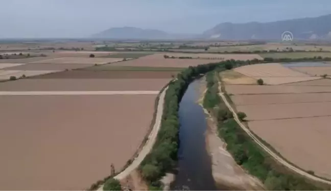 Son dakika haber | Büyük Menderes Nehri'nin Aydın kısmındaki bazı bölümlerinde sular çekildi