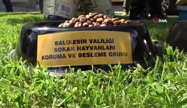 Balıkesir Valiliği'nden sokak hayvanlarına özel ekip