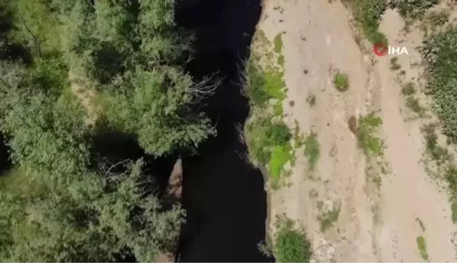 İşletme atıkları Alaşehir Çayı'nı siyaha boyadı