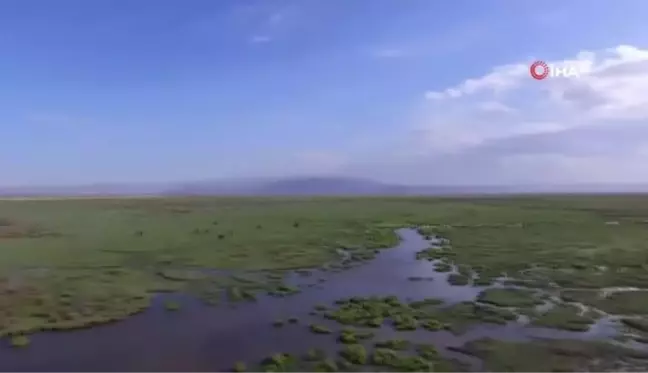 Tam kapanmayı doğa ile iç içe geçiriyorlar
