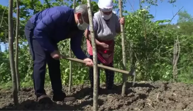 Vali Sonel, ot biçti, fındığa ilaç attı, toprağa tohum dikti