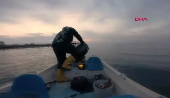 AMATÖR BALIKÇI AĞA TAKILAN CARETTA CARETTAYI 'TAMAM GÜLÜM' DİYEREK KURTARDI