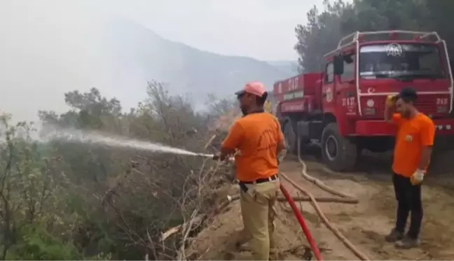 Çıkan orman yangınına müdahale ediliyor