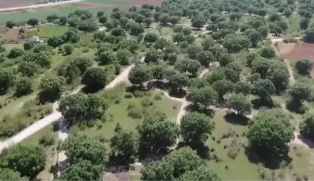 KIRKLARELİ - Tam kapanma sürecinde kuralları ihlal edenler drone ile yakalanıyor