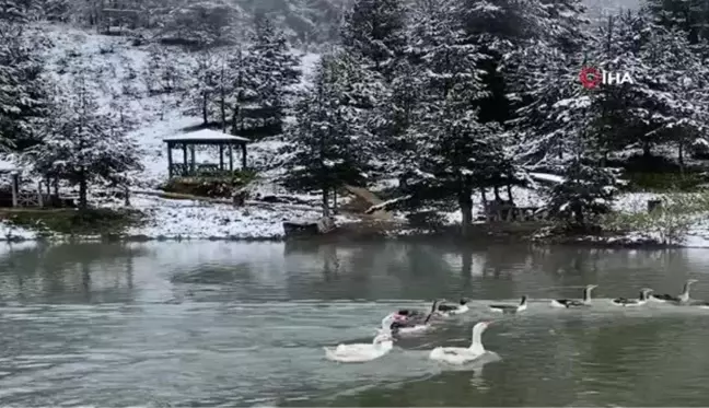 Son dakika haberi: Limni Gölü Tabiat Parkı'ndan eşsiz görüntüler