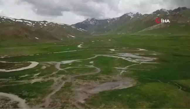 Şırnak'ta eriyen karlar dev menderesler oluşturdu