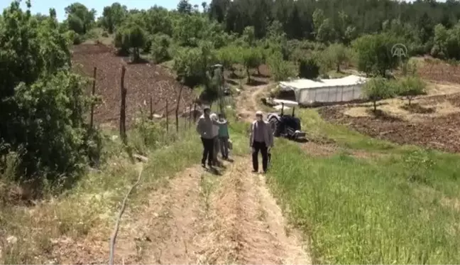 14 Mayıs Dünya Çiftçiler Günü'nde tarlalarda çalışan üreticilere ziyaret