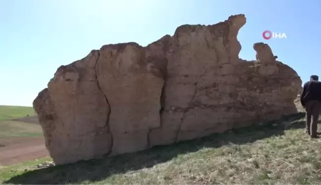 Görünümü kadar neden olduğu batıl inançla da dikkat çekiyor