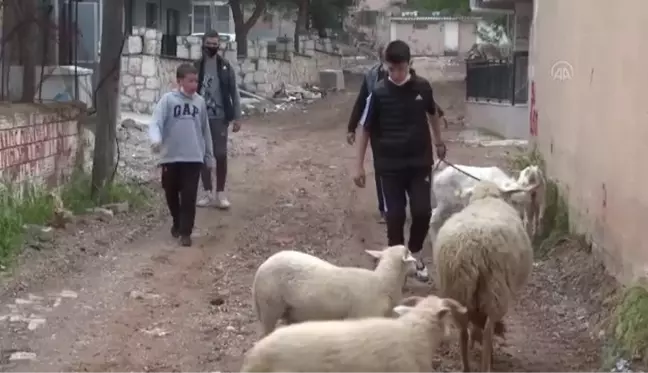 İzmir depreminde enkaz altından 10 saat sonra kurtarılan Günay doğayla iç içe bir yaşam kurdu