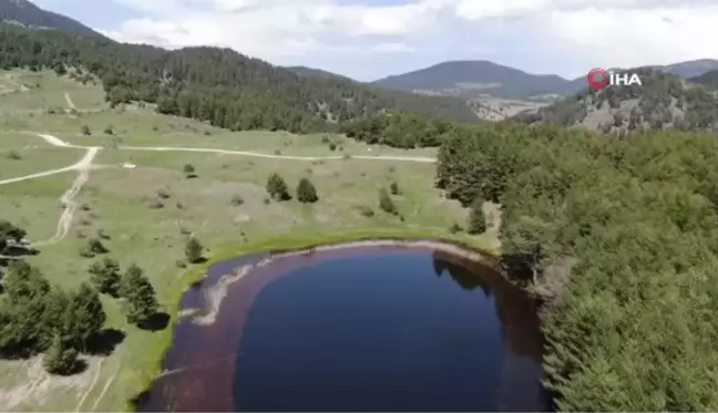 Ankara'nın yaylalarına bahar geldi