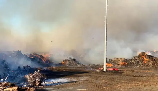 Biyokütle enerji santrali yangınıyla ilgili savcılık inceleme başlattı