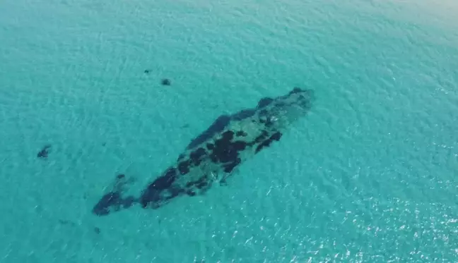 Son dakika haberi! Çanakkale Savaşı'ndaki batık gemiler havadan görüntülendi