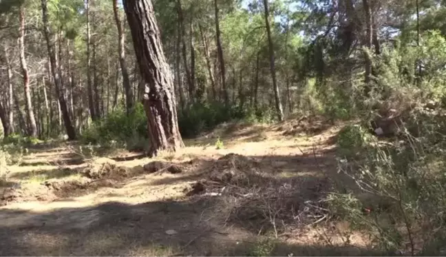 Kayıp ihbarında bulunduğu eşini öldürdüğü iddia edilen koca tutuklandı