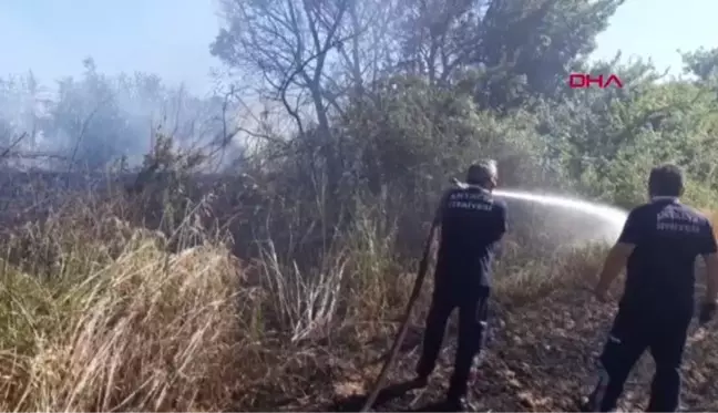 HASADI YAPILACAK, BUĞDAY TARLASI YANDI