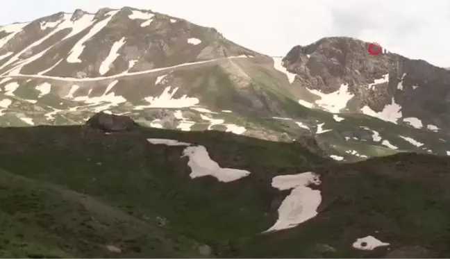 Ülkedeki göçerler Şırnak yaylalarına akın ediyor