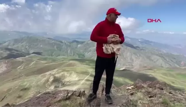 IĞDIR TEKELİ DAĞI'NIN ZİRVESİNE TIRMANIP, ERDOĞAN VE BAKAN SOYLU'YA DESTEK VERDİLER