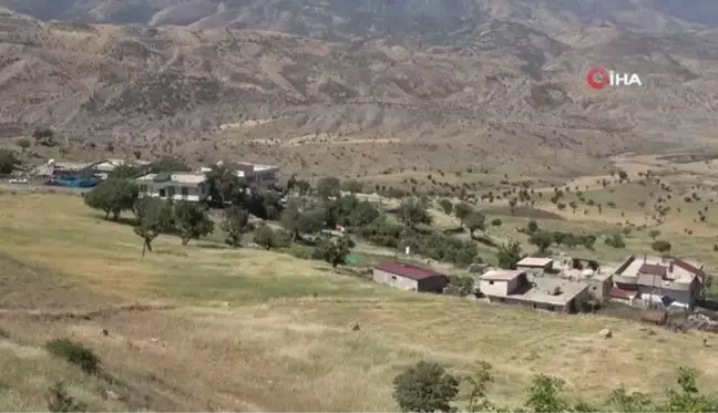 Şırnak'ta yerli ve yabancı 49 akademisyen, Nuh Tufanı ve Cudi Dağını araştırıyor