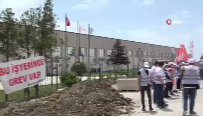 Türk işçileri kapının önüne koyan Fransız peynir fabrikasının önündeki grev sürüyor