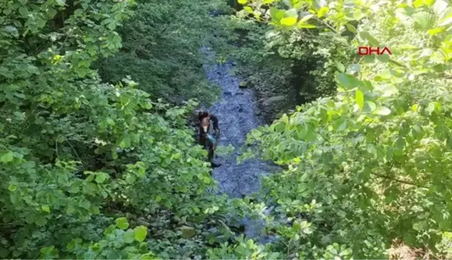 RİZE DERE YATAĞINA DÜŞEN İNEK VİNÇLE KURTARILDI