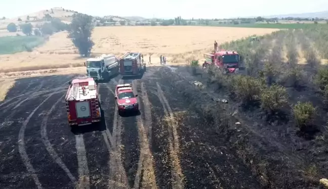 İzmir'de büyük arazi yangını: 40 dönüm arazi kül oldu