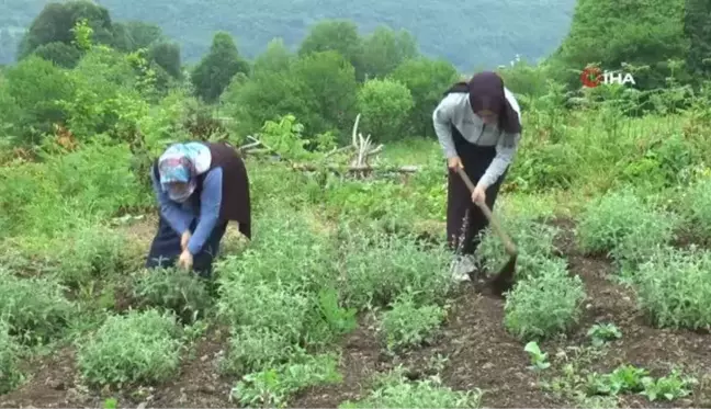 Kırsalın girişimci kadınları, bu projeyle daha da güçlendi