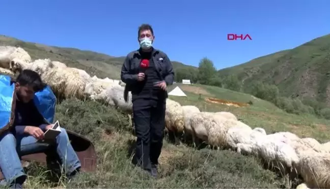 Son dakika gündem: TUNCELİ ÇOBANLIK YAPARKEN ROBERT LİSESİ'Nİ KAZANDI, SIRADA TİLBURG ÜNİVERSİTESİ VAR