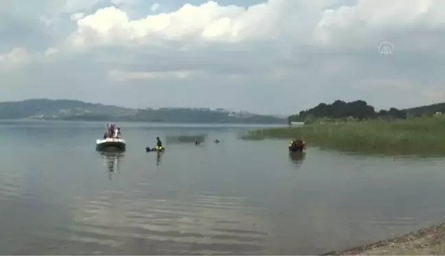 Gönüllüler, Karadeniz sahili ile Sapanca Gölü çevresindeki çöpleri topladı