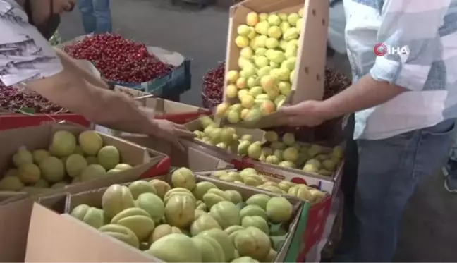 Ünü ülke sınırlarını aşan Malatya kayısısı tezgahtaki yerini aldı