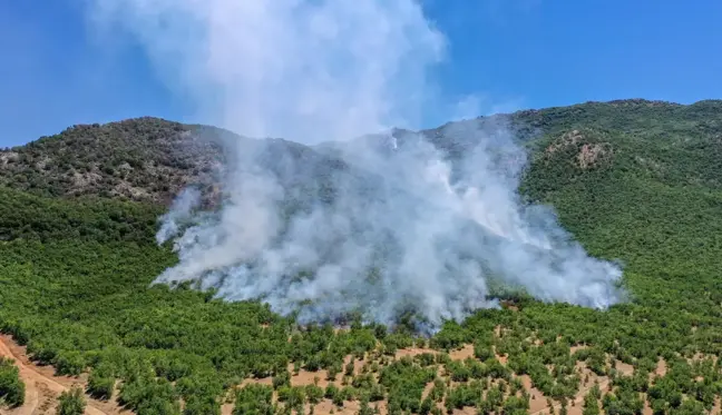 Elazığ Valiliği: 