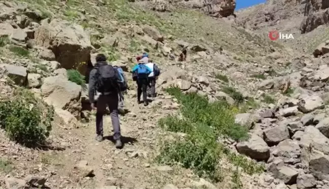 Van Gölü çevresindeki arkeolojik yüzey araştırması başlatıldı