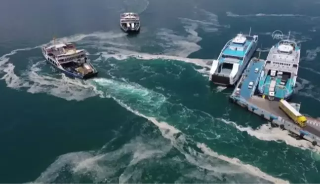 Çanakkale Boğazı'ndaki müsilaj yoğunluğu havadan görüntülendi