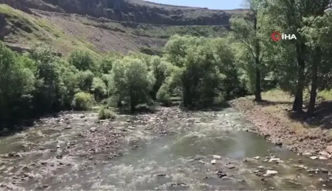 Kuraklık Kars Çayını da vurdu