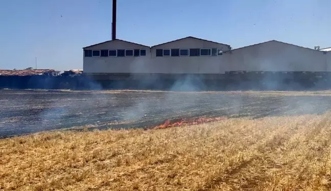 İslahiye'de anız yangını az kalsın fabrikayı yok ediyordu