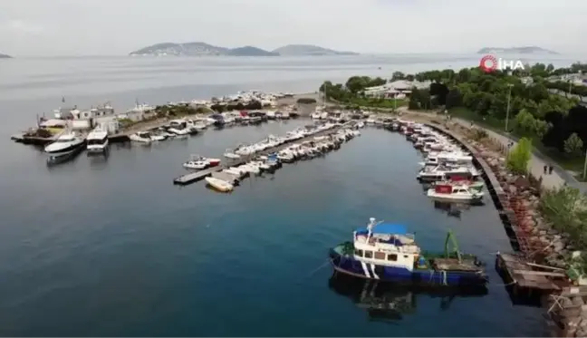 Kartal Sahili deniz salyasından temizlendi