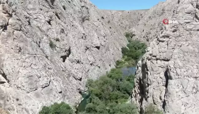 Kaymakam tanıtım için kendini Tohma Çayı'nın sularına bıraktı