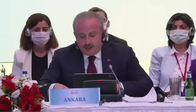 Güneydoğu Avrupa İş Birliği Süreci Parlamenter Asamblesi 8. Genel Kurulu'nda nihai bildiri kabul edildi (1)