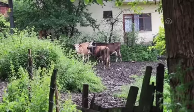 Sağanak su baskınlarına neden oldu