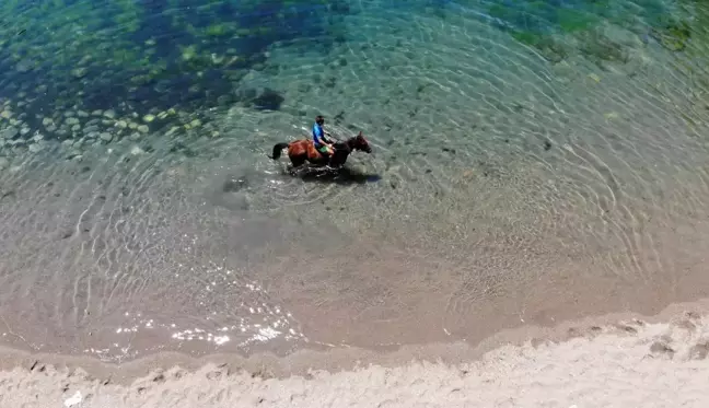 Bunaltıcı sıcakta yarış atıyla denizin tadını çıkarttı