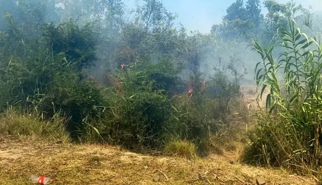 Dalaman'da cezaevi çevresi ve TİGEM arazilerinde yangın