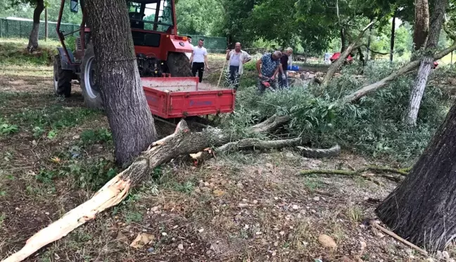 Fırtına ağaçları devirdi, enerji nakil hatları kopunca yangın çıktı